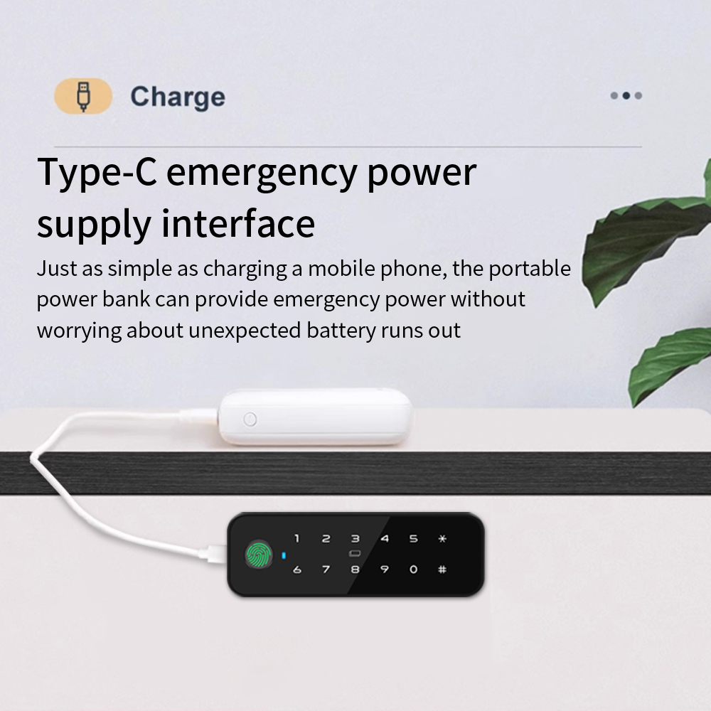 Tuya Bluetooth Smart Wood Cabi - огляд і ціна Furniture Hardware Tools